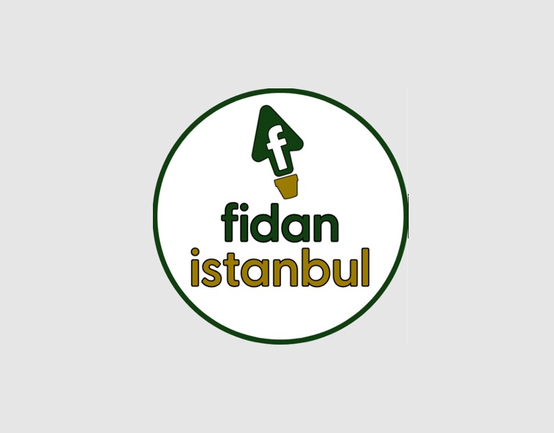 Bahçeniz İçin En Kaliteli Meyve Fidanı Seçimi