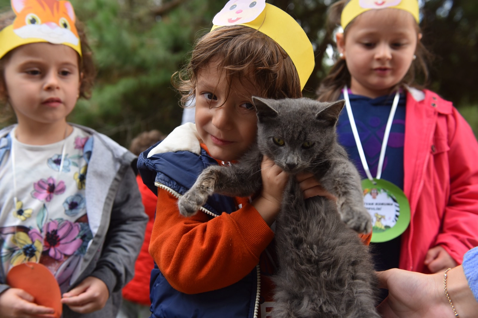 Bursa Yıldırım’da 625 patili dost sıcak yuvaya kavuştu