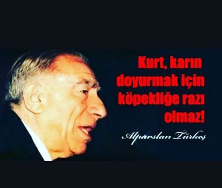 İbrahim Murat Gündüz: Kurt Soyunun Evlâdı, Köpekliğe Rıza Göstermez!