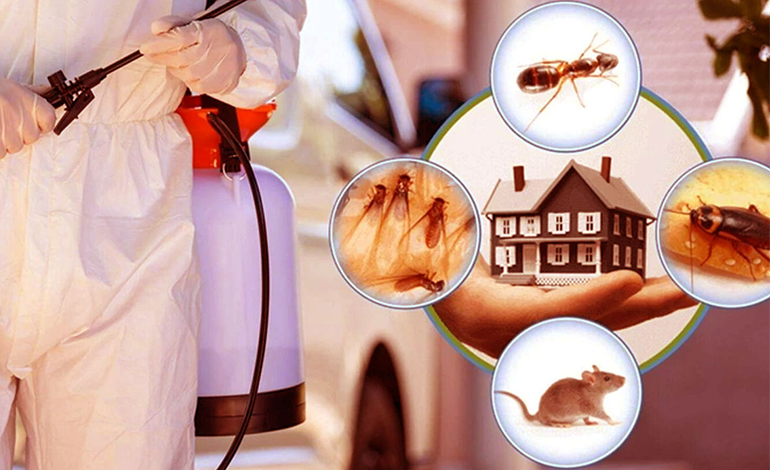 Ankara Böcek İlaçlama 2025