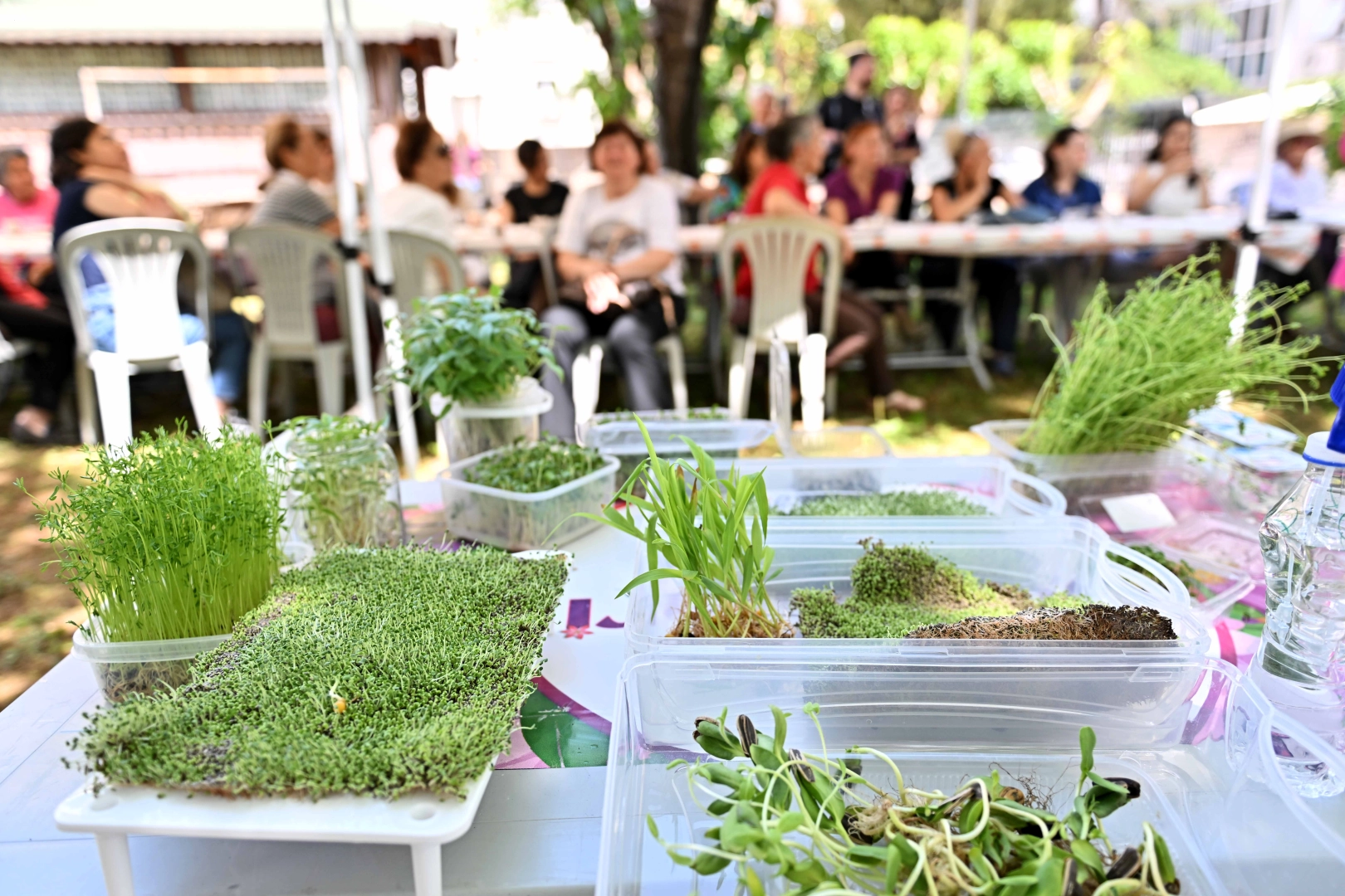Antalya Muratpaşa'da minyatür bahçeler şekillendi