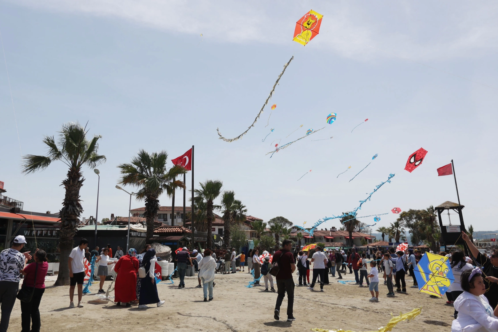 Muğla'da engelsiz uçurtmalar gökyüzünü renklendirdi