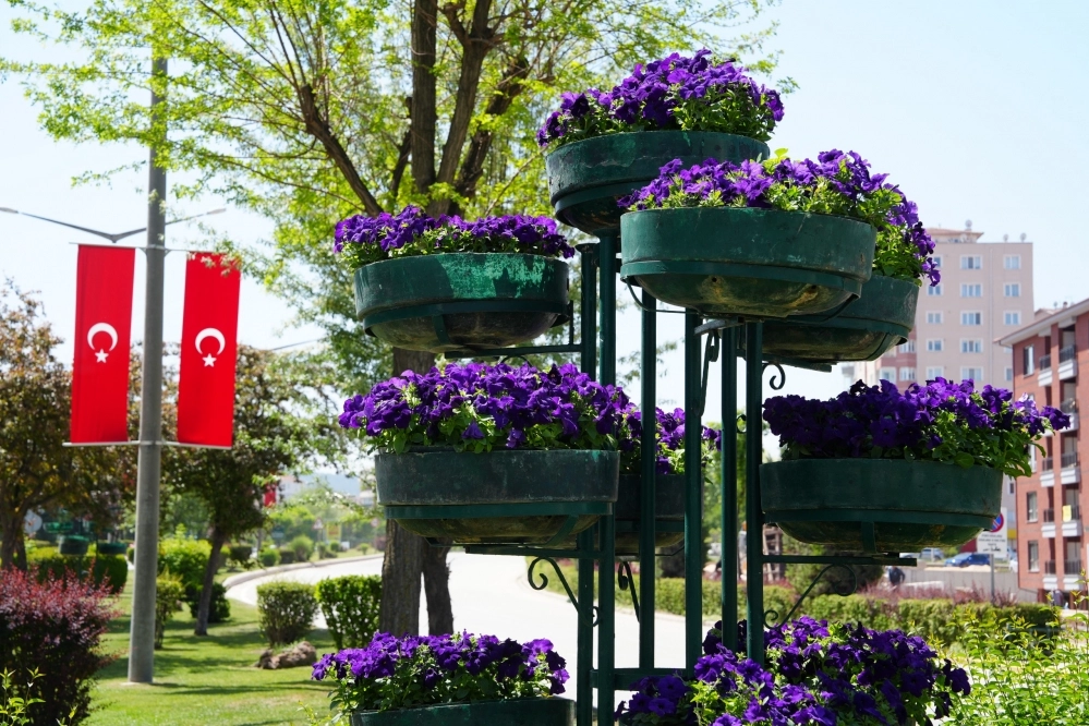 Eskişehir'de refüjler çiçeklerle renklendi