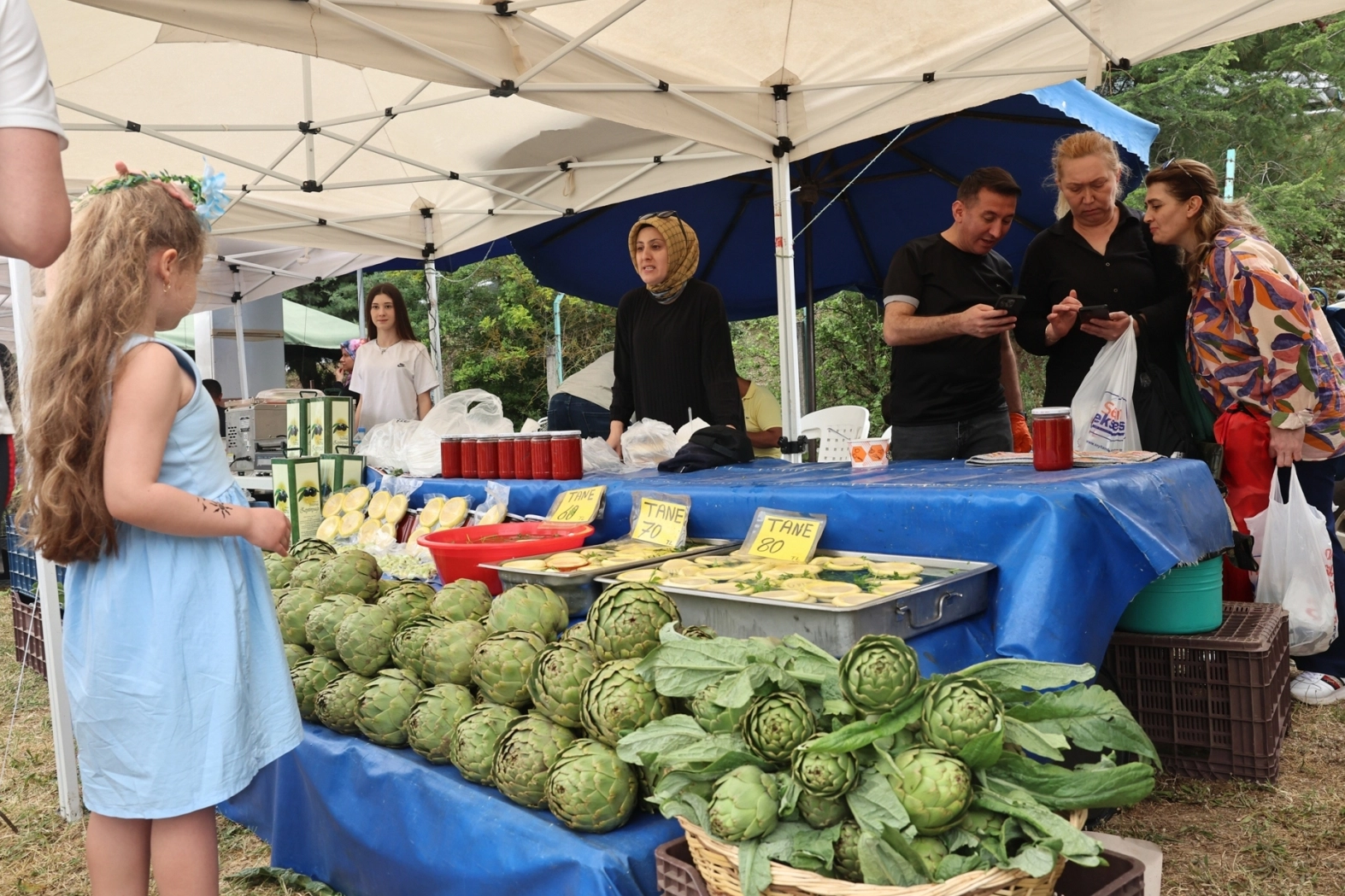 Bursa Nilüfer'de 'Hasanağa Enginar Festivali'ne yoğun ilgi