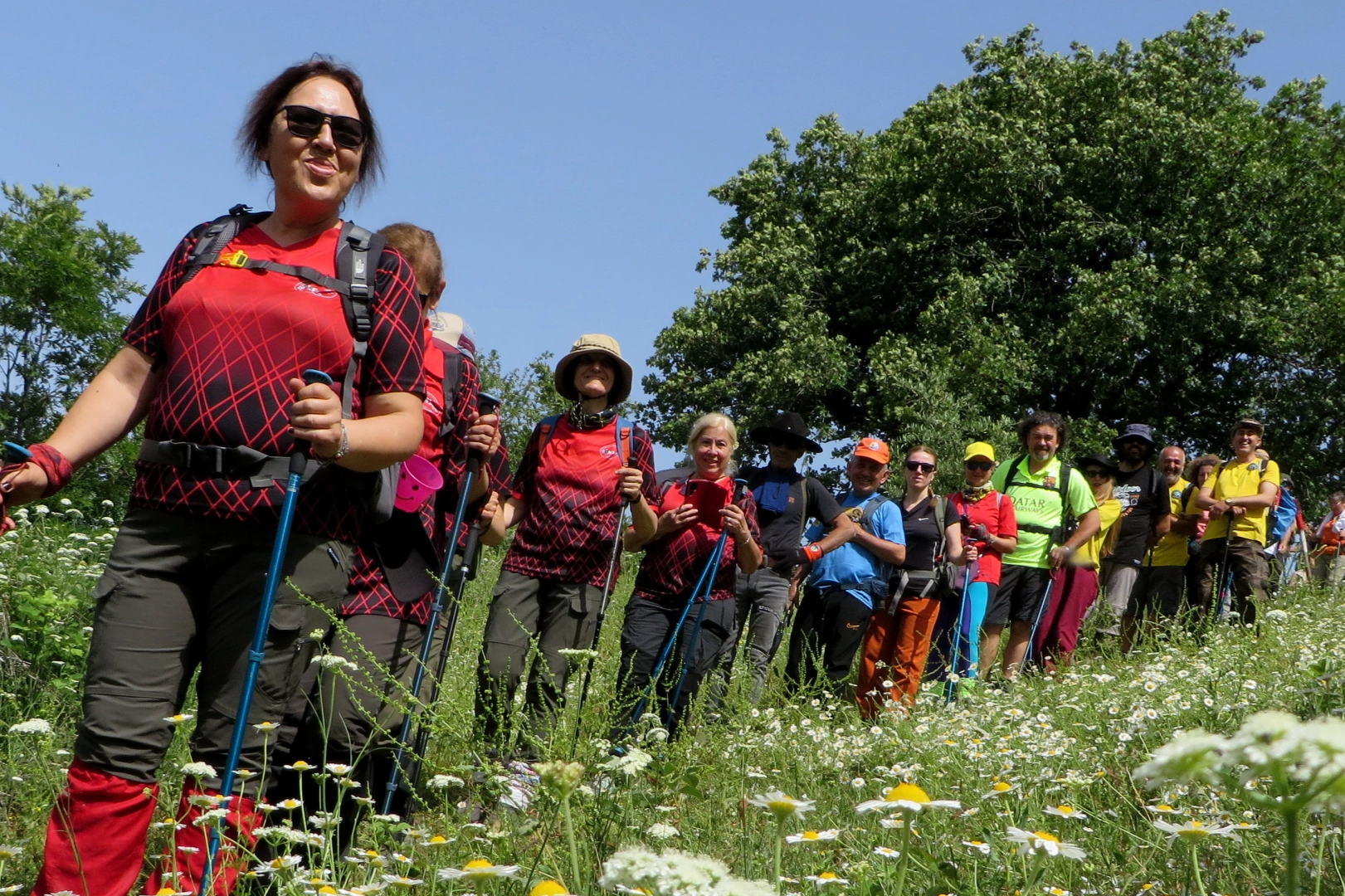 Sardos Artemea’dan döndü