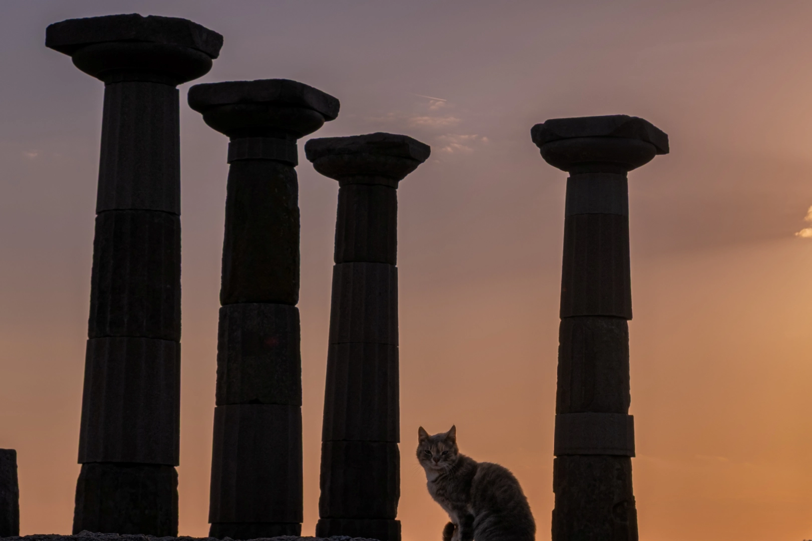 Müzelerin ruhu Bornova’da hayat buldu