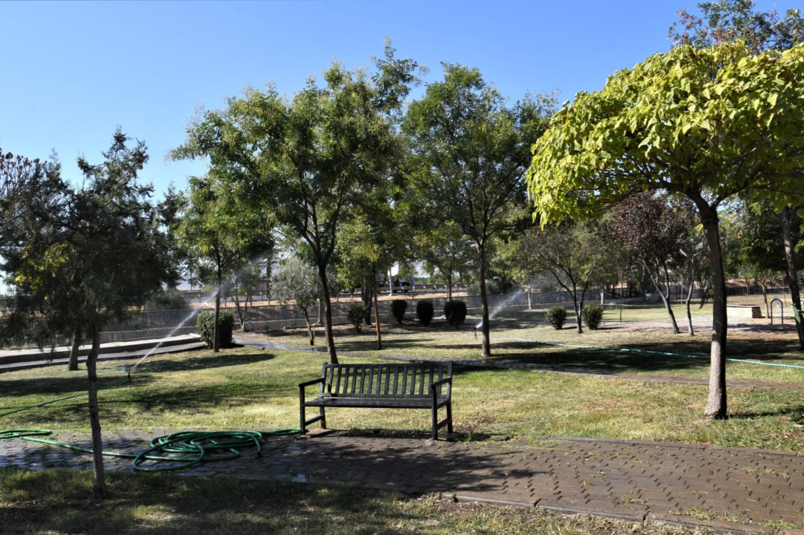 İzmir Bornova’dan 'Yeşil Dönüşüm' hamlesi