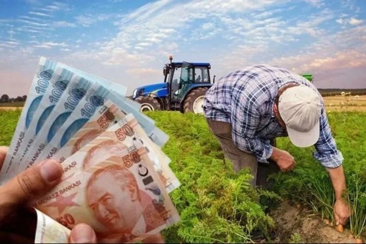 Çiftçilere 865 milyon TL'lik destek ödemesi hesaplarda