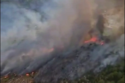 Muğla Seydikemer'de orman yangını