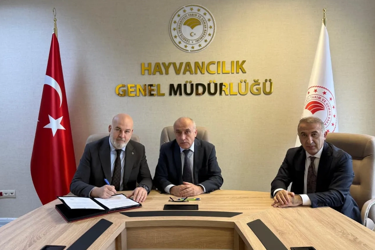 Besilik hayvan krizine neşter! İki kritik protokolle yerli üretim güçlenecek