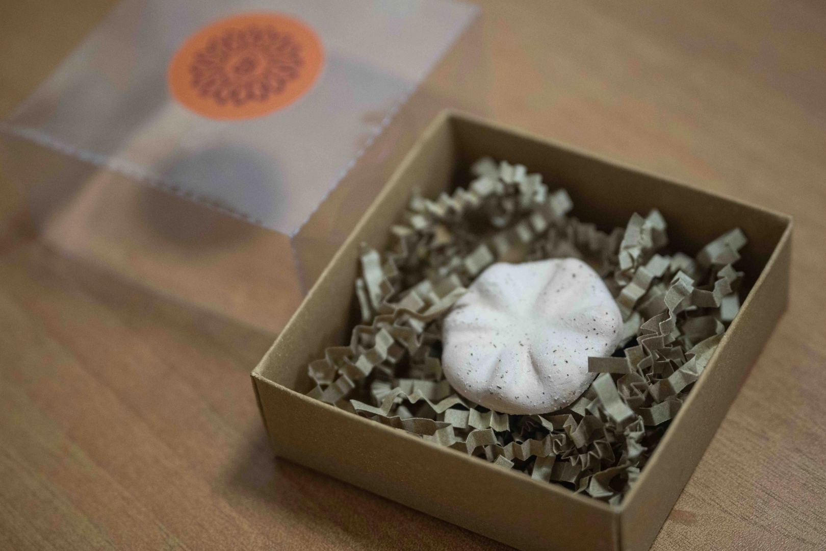 İzmir Bornova’nın 8 bin 500 yıllık hafızası gün yüzünde